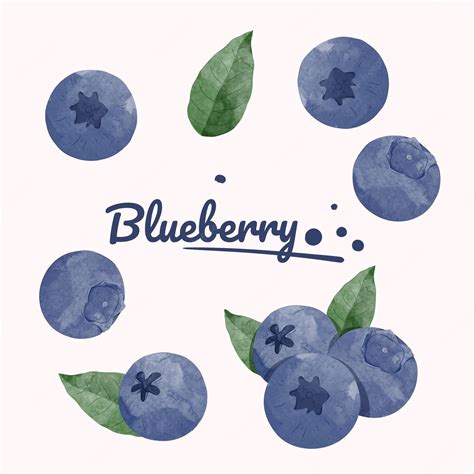 blueberry designer|blueberry art designs.